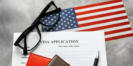 visa application