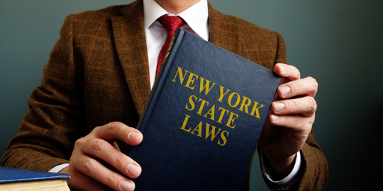 person holding book of New York State Laws
