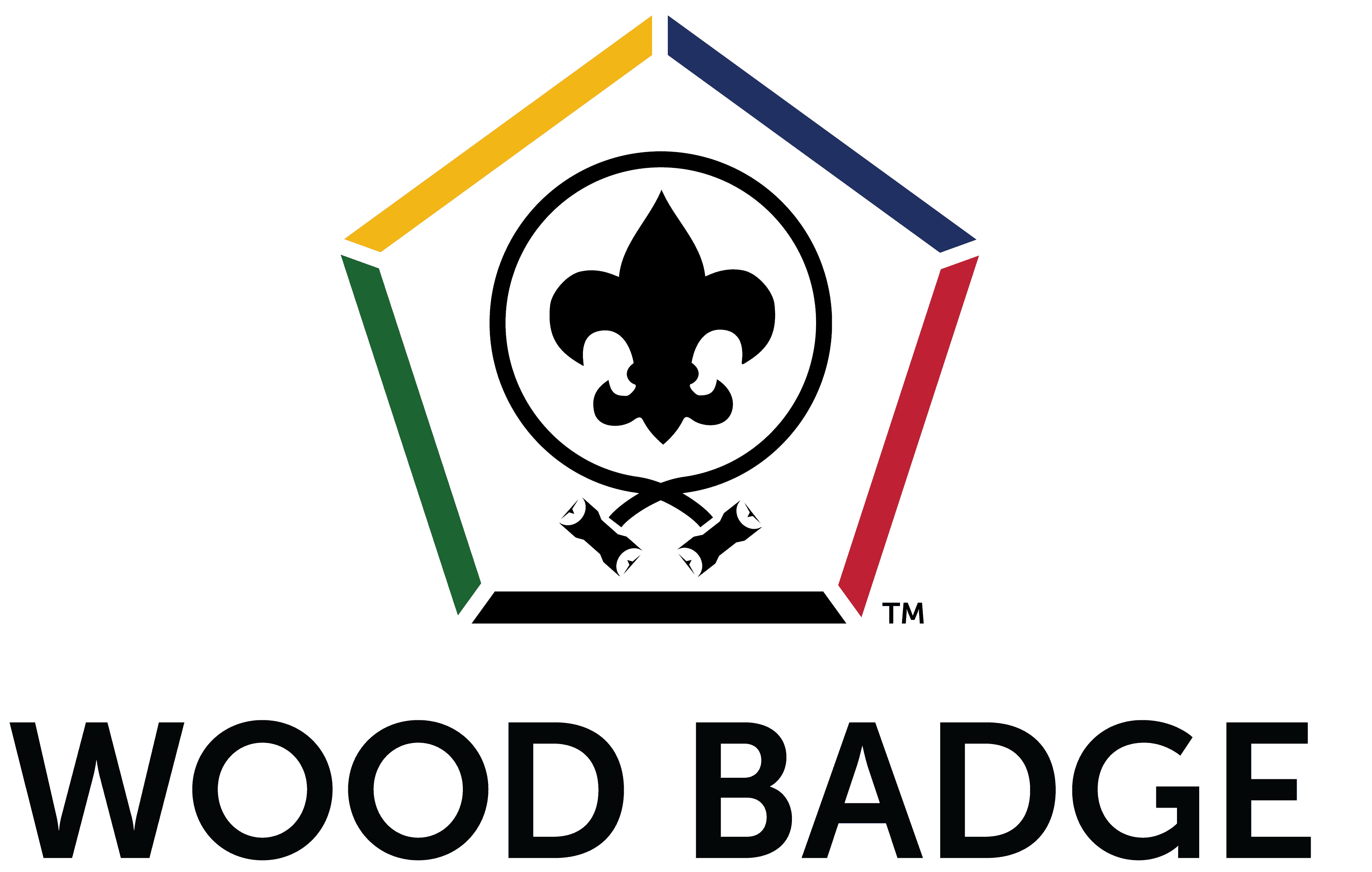 Boy Scouts of America Wood Bage
